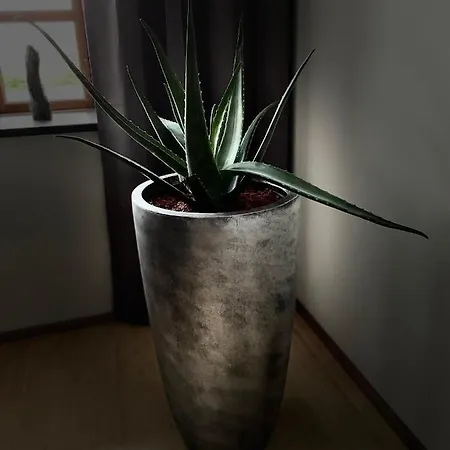 Atelier Tiedemann Apartman