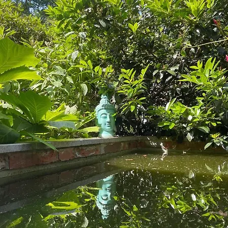 Apartman Atelier Tiedemann *